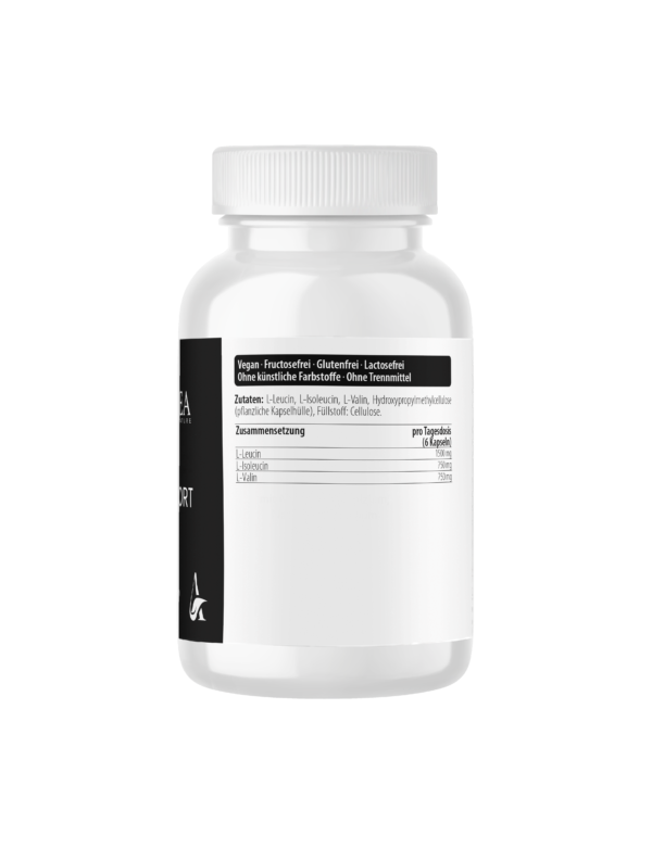 BCAA Sport
