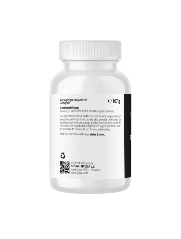 BCAA Sport